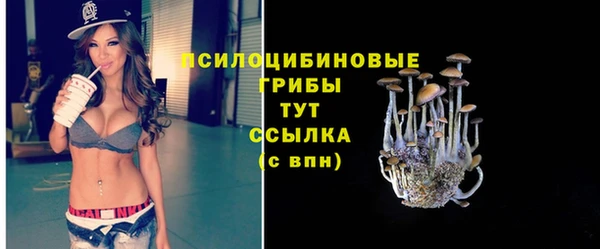 mix Абаза