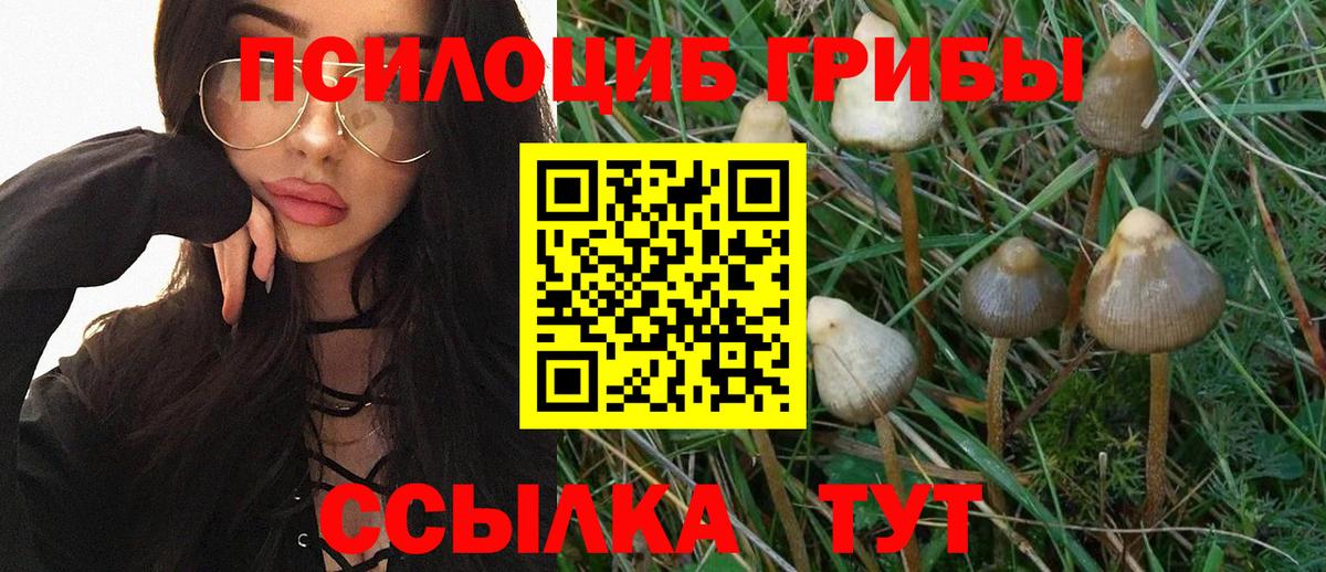 NBOMe  МДМА  Вход с VPN  Конопля  Кохма  МЕФ кристаллы  Cocaine  ГАШИШ  Амфетамин кристаллы  Меф 