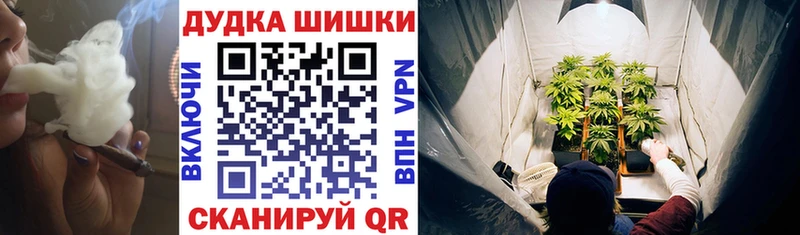 МЕГА tor  Кохма  Бошки Шишки индика 