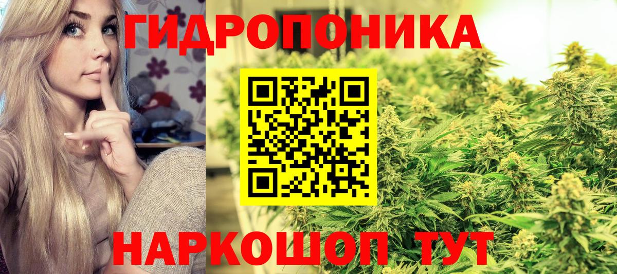 Кохма  Шишки марихуана MAZAR  Вход с VPN  Бошки Шишки LSD WEED  Шишки марихуана тримм  Конопля Amnesia 